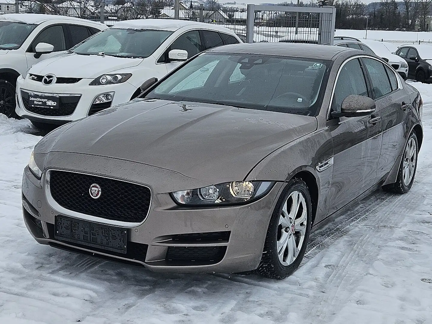 Jaguar XE E-Performance Pure Braun - 1