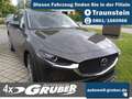 Mazda CX-30 2.5L e-SKYACTIV G Automatik Exclusive Gris - thumbnail 1