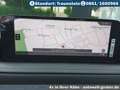 Mazda CX-30 2.5L e-SKYACTIV G Automatik Exclusive Gris - thumbnail 14