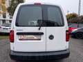 Volkswagen Caddy Nfz Kasten EcoProfi BMT*1.Hand* Weiß - thumbnail 6