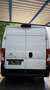 Citroen Jumper L3 H2 Weiß - thumbnail 6