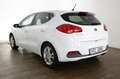 Kia Ceed / cee'd 1.4 CVVT*Ambiente*2-Zonen*Parkhilfe* Blanc - thumbnail 7