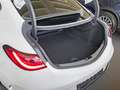 Mercedes-Benz CLE 220 d Coupé AMG-Sport/LED/Cam/Pano/Night/19" Білий - thumbnail 7