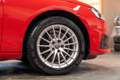 Audi A4 30 TDI basis 2.0 TDI*MATRIX*NAVI*ACC*SHZ*AHK* Rot - thumbnail 29