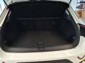 Volkswagen T-Roc 1.0 TSI LIFE LED+ NAVI WINTERPKT PRIVACY Blanc - thumbnail 7