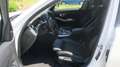 BMW 318 318iA OPF Bianco - thumbnail 6