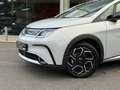 BYD Dolphin COMFORT / 360°CAM / 60 KWH /CARPLAY / KEYLESS / Wit - thumbnail 3
