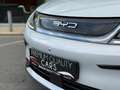 BYD Dolphin COMFORT / 360°CAM / 60 KWH /CARPLAY / KEYLESS / Wit - thumbnail 5