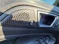 Ford EcoSport Titanium WINTERPAKET TECHNIKPAKET FAHRERASSISTE... Gris - thumbnail 9