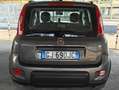 Fiat Panda Panda III 2021 1.0 firefly hybrid City Life s Grigio - thumbnail 3