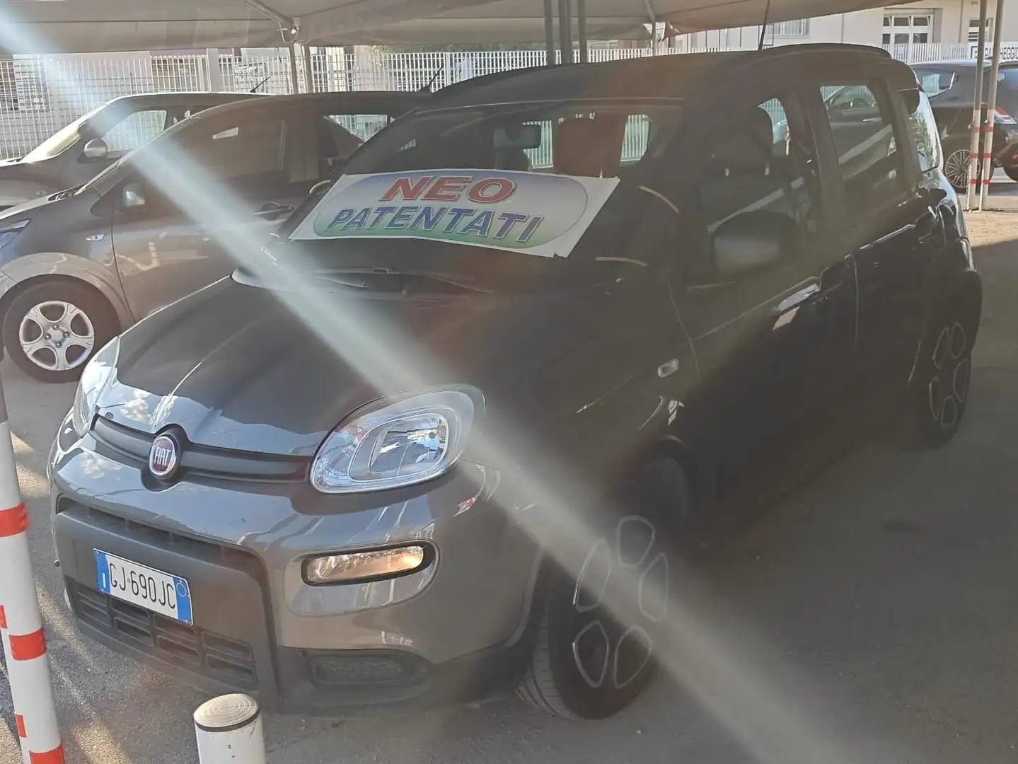 Fiat Panda Panda III 2021 1.0 firefly hybrid City Life s Grigio - 2