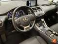 Lexus NX 300 300h Business Navigation 2WD Gris - thumbnail 7