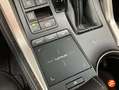 Lexus NX 300 300h Business Navigation 2WD Gris - thumbnail 23