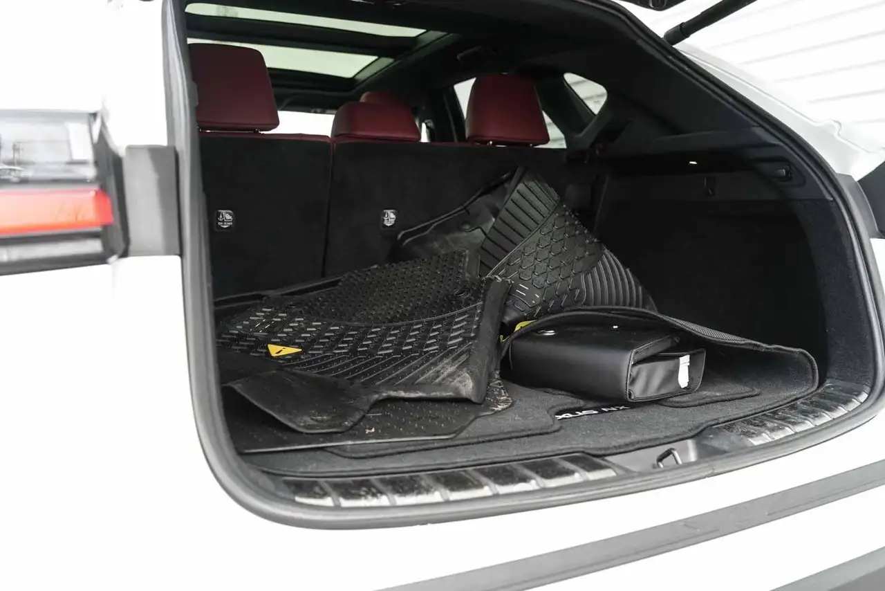 Lexus NX снимка Lexus NX