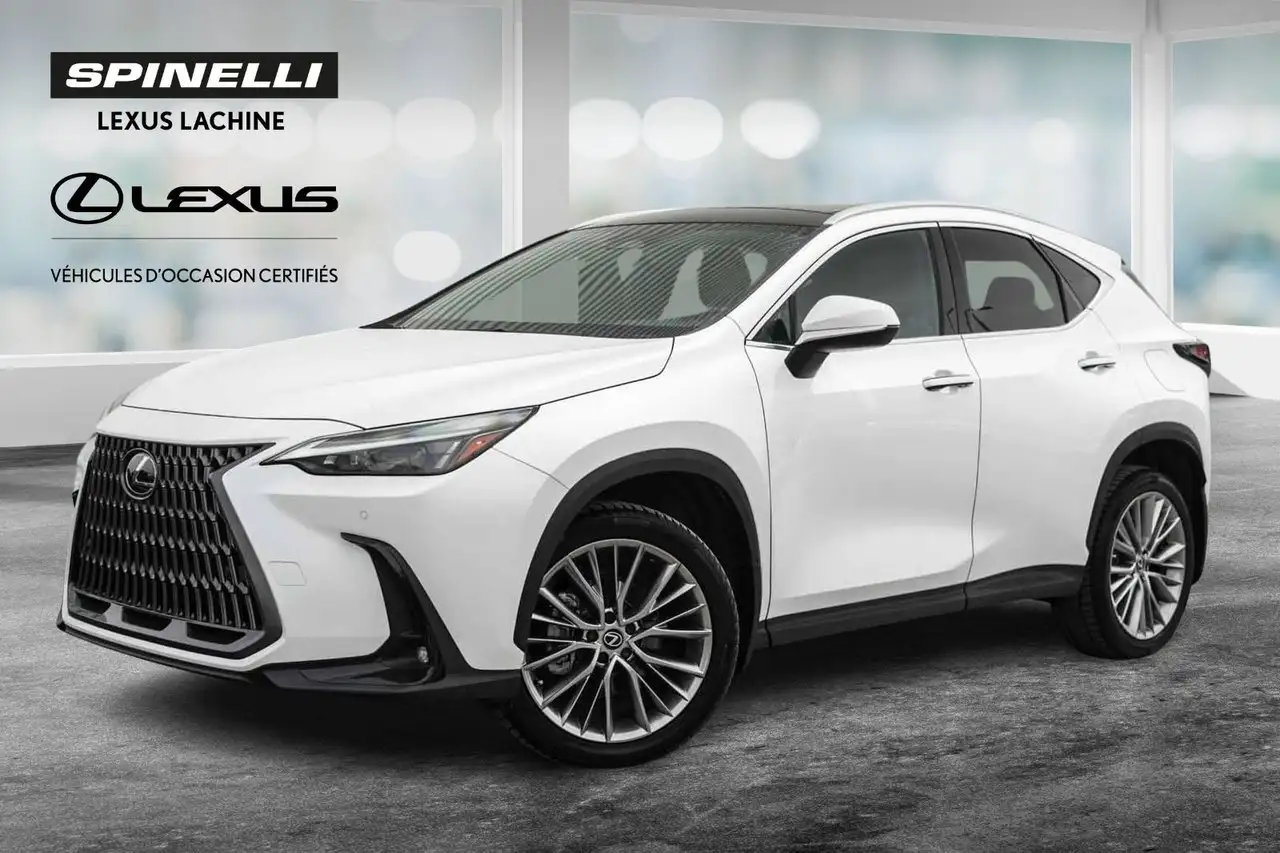 2024 Lexus NX