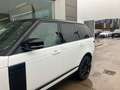 Land Rover Range Rover 2.0 i4 PHEV Vogue 4WD Aut. Blanc - thumbnail 3