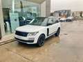 Land Rover Range Rover 2.0 i4 PHEV Vogue 4WD Aut. Blanc - thumbnail 2