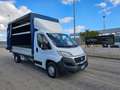 Fiat Ducato 35 2.3 MJT 130CV PLM CASSA CON CENTINA E TELO Bianco - thumbnail 3