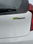 Kia Picanto Picanto 1.2 CVVT ISG Comf.P. Blanc - thumbnail 14