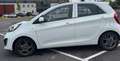 Kia Picanto Picanto 1.2 CVVT ISG Comf.P. Blanc - thumbnail 4