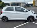 Kia Picanto Picanto 1.2 CVVT ISG Comf.P. Blanc - thumbnail 3
