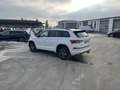 Skoda Kodiaq 2.0 TDI DSG 4x4 Sportline 219€ m.20% Anz. AHK Vi Blanc - thumbnail 9