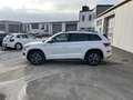 Skoda Kodiaq 2.0 TDI DSG 4x4 Sportline 219€ m.20% Anz. AHK Vi Blanc - thumbnail 3