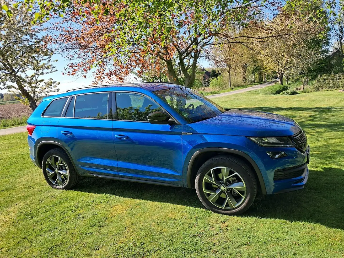 Skoda Kodiaq Kodiaq Diesel 2.0 TDI DSG Sportline Modrá - 1