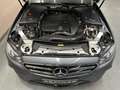 Mercedes-Benz E 350 E350 AMG LINE *NIGHT PAKET*PANO*STHZ* Grau - thumbnail 6