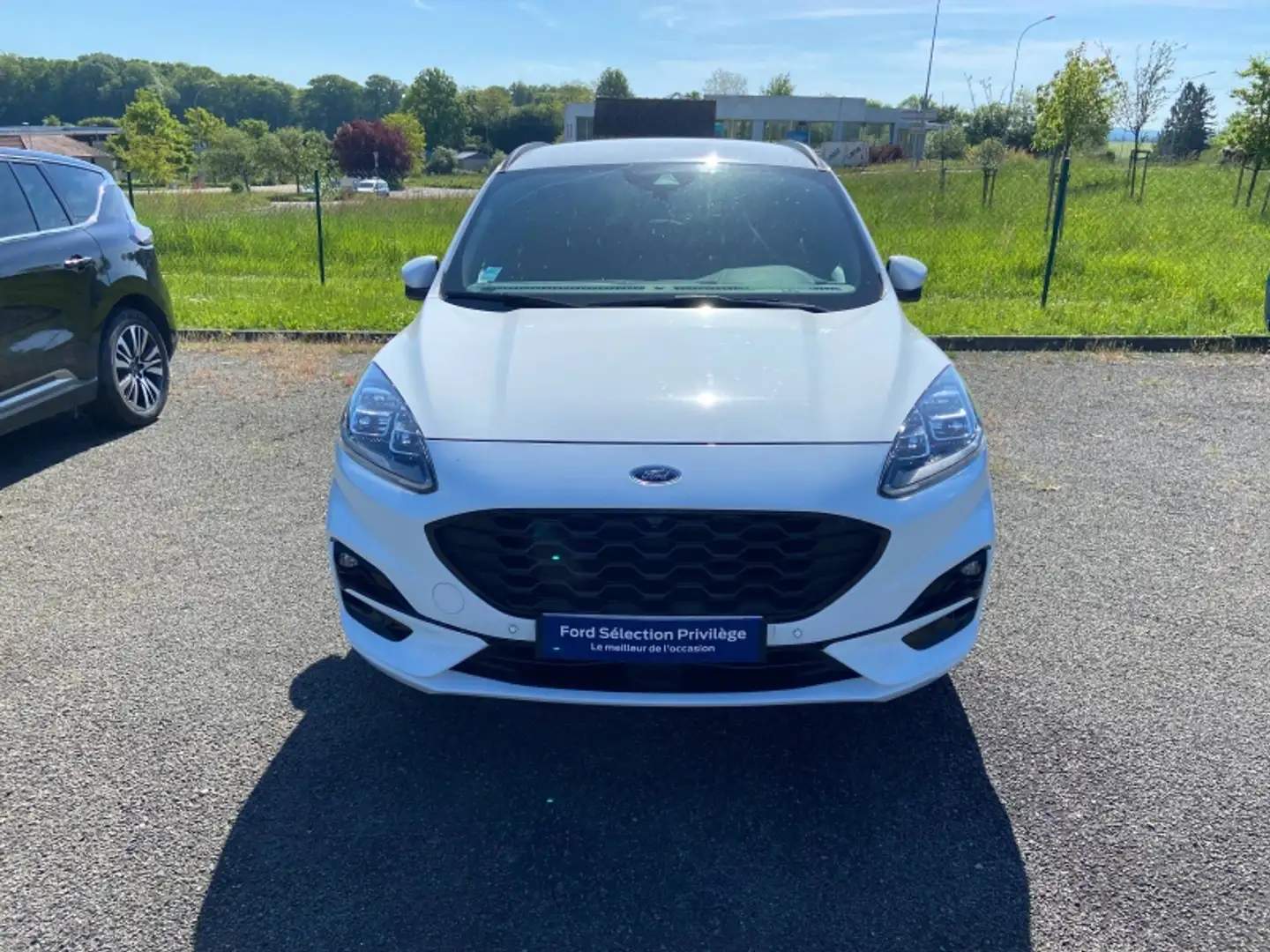 Ford Kuga 2.0 EcoBlue 150ch mHEV ST-Line X Blanc - 1