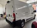 Fiat DUCATO 35Q MH2 140CV 2.2 PASSO MEDIO - TETTO MEDIO Blanc - thumbnail 8