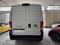 Fiat DUCATO 35Q MH2 140CV 2.2 PASSO MEDIO - TETTO MEDIO Blanc - thumbnail 7