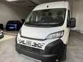 Fiat DUCATO 35Q MH2 140CV 2.2 PASSO MEDIO - TETTO MEDIO Blanc - thumbnail 1