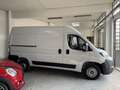 Fiat DUCATO 35Q MH2 140CV 2.2 PASSO MEDIO - TETTO MEDIO Blanc - thumbnail 4