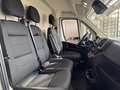 Fiat DUCATO 35Q MH2 140CV 2.2 PASSO MEDIO - TETTO MEDIO Blanc - thumbnail 13