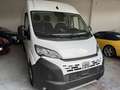 Fiat DUCATO 35Q MH2 140CV 2.2 PASSO MEDIO - TETTO MEDIO Blanc - thumbnail 3