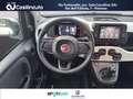 Fiat Panda 1.0 FireFly S&S 69 Cv Hybrid Pandina GPL Blanc - thumbnail 12