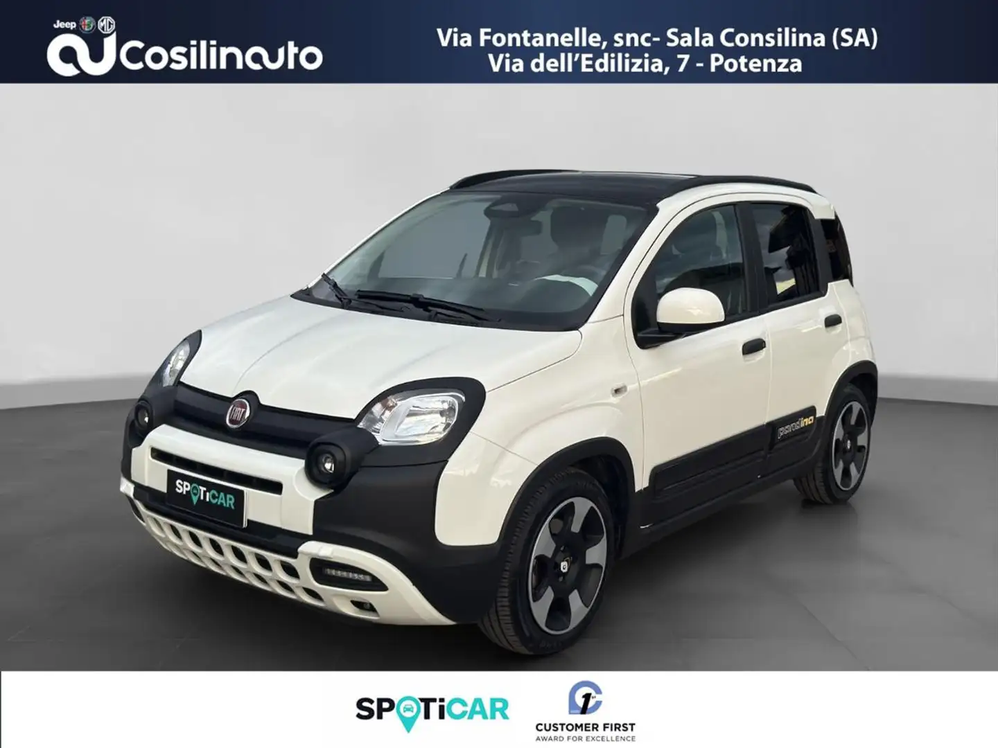 Fiat Panda 1.0 FireFly S&S 69 Cv Hybrid Pandina GPL Blanc - 1