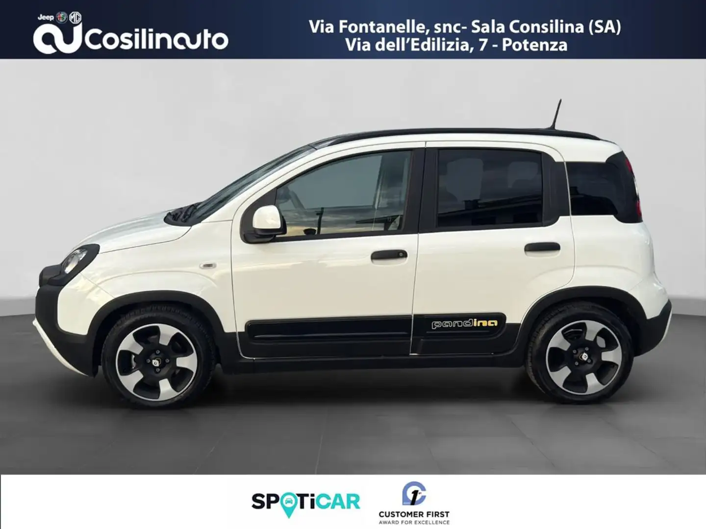 Fiat Panda 1.0 FireFly S&S 69 Cv Hybrid Pandina GPL Blanc - 2
