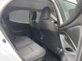 Toyota Yaris 1.5 VVT-iE Hybrid BUSINESS ACC+NAV+APP+SHZ Weiß - thumbnail 13