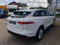 Jaguar F-Pace Pure Blanco - thumbnail 7