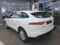 Jaguar F-Pace Pure Blanco - thumbnail 5
