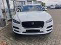 Jaguar F-Pace Pure Blanco - thumbnail 2