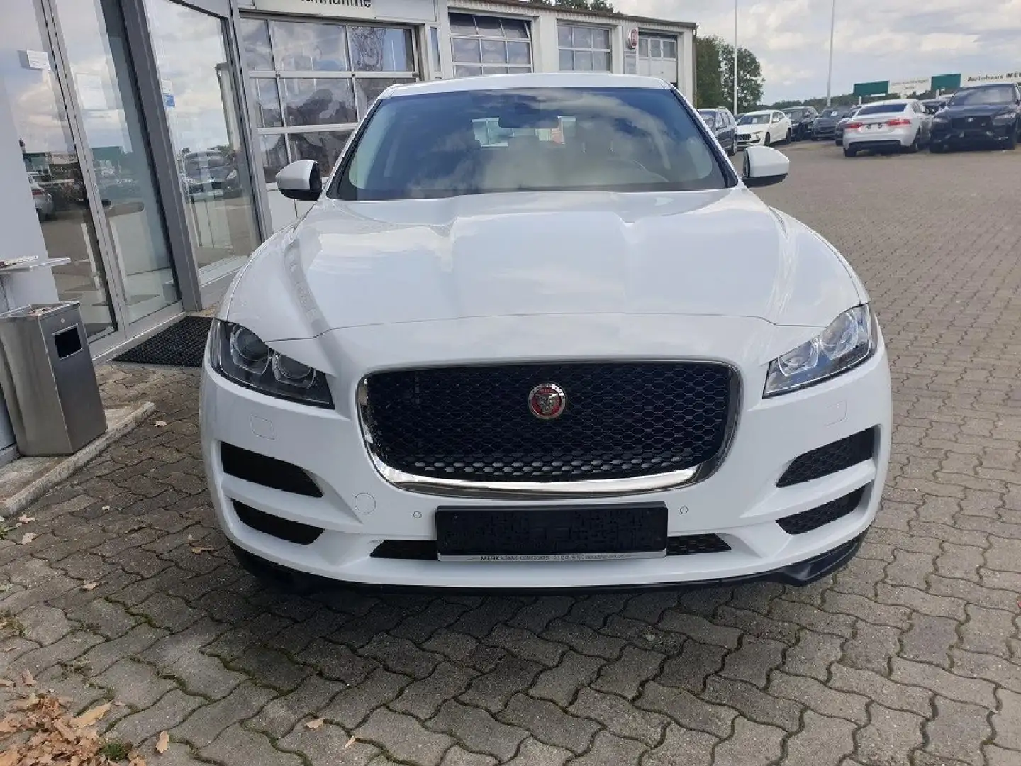 Jaguar F-Pace Pure Blanco - 2