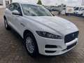 Jaguar F-Pace Pure Blanco - thumbnail 3