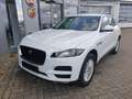 Jaguar F-Pace Pure Blanco - thumbnail 1