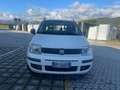 Fiat Panda Panda II 1.2 Classic easypower GPL 69cv Biały - thumbnail 1