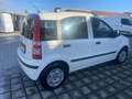 Fiat Panda Panda II 1.2 Classic easypower GPL 69cv Biały - thumbnail 4