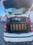Fiat Panda Panda II 1.2 Classic easypower GPL 69cv Biały - thumbnail 5