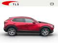 Mazda CX-30 Exclusive Line 2WD 2.0 SKYACTIV-G M Hybrid EU6d HU Rood - thumbnail 8